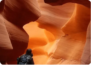 Westminster Walking Tour