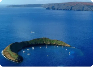 Molokini Snorkeling