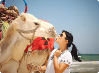 Kenya vs Tanzania Safari